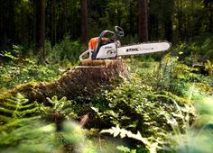 a chainsaw sitting on top of a tree stump in the middle of a forest