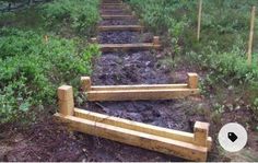 a set of wooden steps in the middle of a forest with trees and bushes behind them