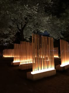 the lights are glowing in the dark and shining on the ground, with trees behind them