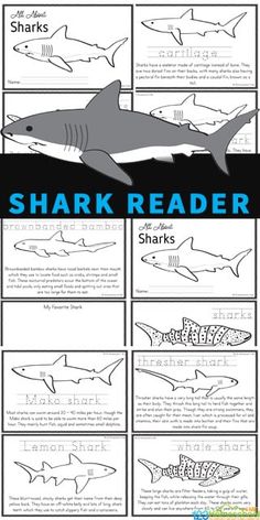 shark reading worksheet for kids to learn how to draw sharks and other animals