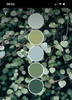 the color palette is green, blue and grey with white circles on it's branches