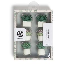 three small succulents are in a box