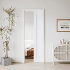 a white room with a plant in the corner and a mirror hanging on the wall