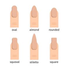 24Pc Stiletto Press-On Nails with black and gold designs Nails With Black And Gold, Nails With Black, Nails Short Coffin, Press On Nails Short, Gold Designs, Nail Shapes, Nude Pink, Pink Ombre