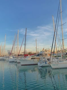 several sailboats are docked in the water near each other on a sunny day with blue skies