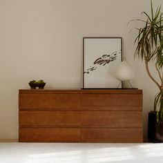 a wooden dresser sitting next to a potted plant