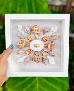 a person holding up a frame with seashells in it and the image is framed