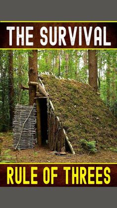 the survival guide for the survivalist who is trying to build a house in the woods