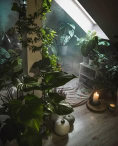 a room filled with lots of plants next to a light that is shining on the floor