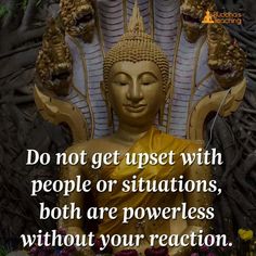 ▪️Very true▪️ Buddha Quotes Inspirational, Buddhism Quote, Buddha Teachings, Buddhist Quotes, Buddha Quote, Buddha Quotes, Good Thoughts, Good Advice, Spiritual Quotes