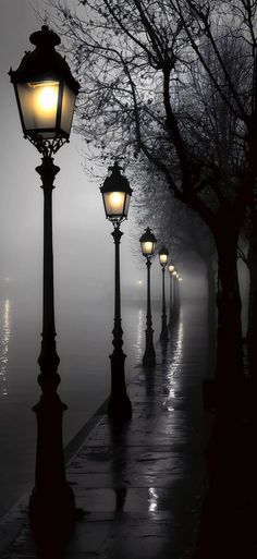 the street lights are lit up on a foggy night with no one in sight