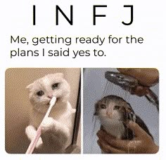 28 Funny Memes Any INFJ Will Relate To | So Syncd Infj Personality Facts, Rarest Personality Type, Infp Infj