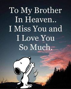 a cartoon character with the words to my brother in heaven i miss you and i love you so much