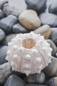 a sea urn sitting on top of rocks covered in white beads and pearls next to water