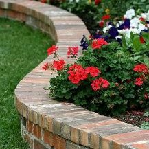 red and white flowers are growing on the side of a brick wall in a garden