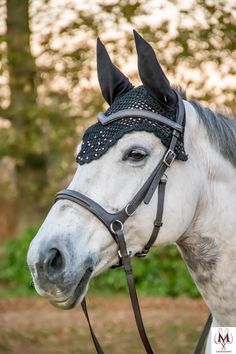 a white horse with black bridle on it's head and trees in the background