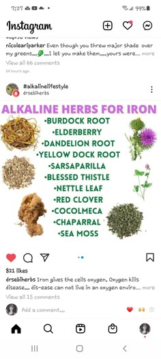 an info sheet with different types of herbs on it