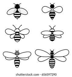 six different types of bees in black and white