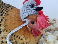 a close up of a chicken wearing a crocheted hat with a rooster on it's head