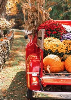 a red truck filled with pumpkins and flowers