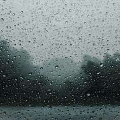 rain drops on a window with trees in the background