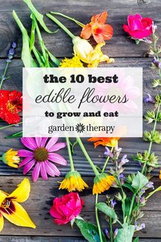 the 10 best edible flowers to grow and eat garden therapy