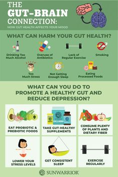 The Gut-Brain Connection: How Gut Health Affects Your Mood Gut Brain Connection, Brain Connections, Health Habits, Health And Fitness Tips