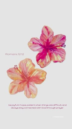 two pink flowers on a white background with the words romans 12 11 and an orange flower