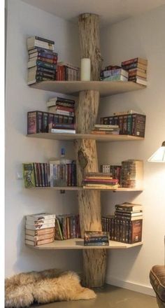 a book shelf with books on it in the corner