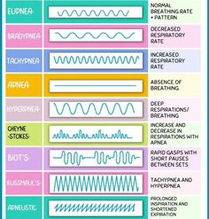 the different types of waveforms and their meanings in each one's body language