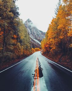 an empty road surrounded by trees with yellow and orange leaves on the sides, in front of a mountain