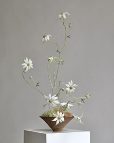 a vase with flowers in it sitting on top of a white box and grey background