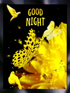 a yellow and black poster with butterflies on it that says good night in the center