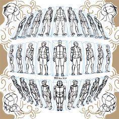 an image of different types of mannequins in various positions and sizes, all drawn