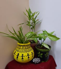 three potted plants sitting on top of a table next to each other and one plant in the middle