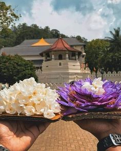 two people holding plates with flowers in front of a building and sky line behind them