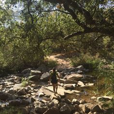 a man walking across a rocky creek in the woods on a trail with lots of rocks