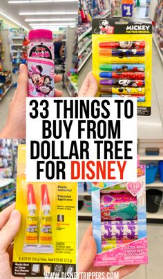 three things to buy from dollar tree for disney