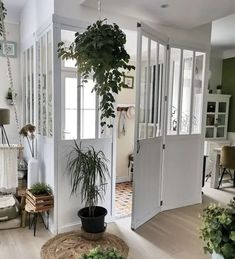 a living room filled with lots of plants next to white walls and doors that lead into the dining area