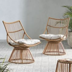 wicker chairs with cushions sit in front of a potted plant on the ground