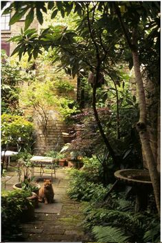 a dog sitting in the middle of a garden