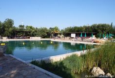 an empty swimming pool surrounded by trees and lawn chairs