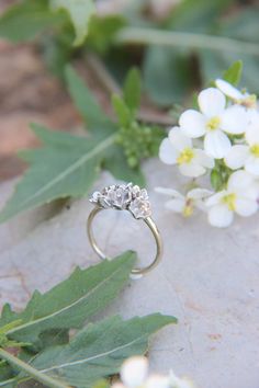 an engagement ring sitting on top of a rock next to white flowers and green leaves