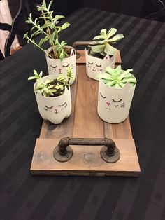 a wooden tray topped with potted plants on top of a table