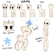 an image of some cute little ponys with different names on their faces and body