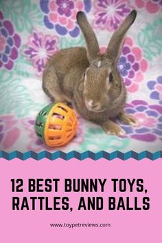 a rabbit sitting on top of a bed next to a ball