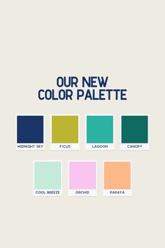 the color palette for our new color palette