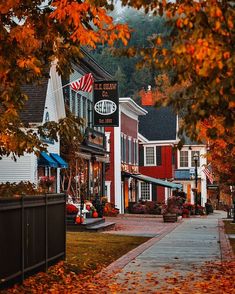 an autumn scene with leaves on the ground and buildings in the background that are red, white, and blue