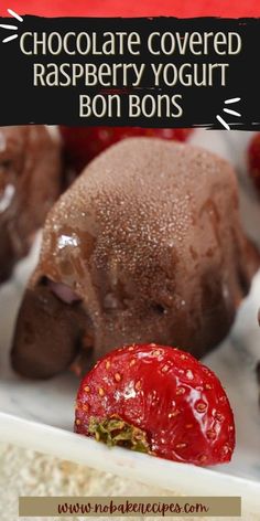 chocolate covered raspberry yogurt bons with text overlay