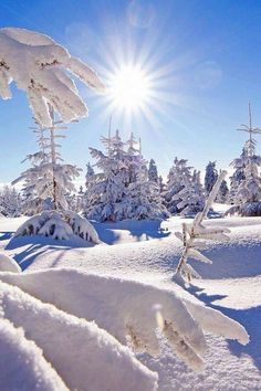 the sun shines brightly over snow covered trees